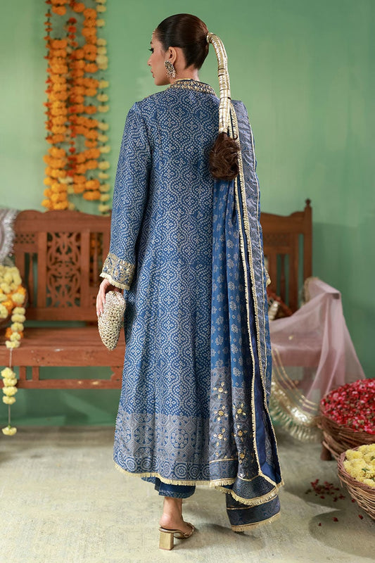 Ansab Jahangir | The Rani Edit | Zohra