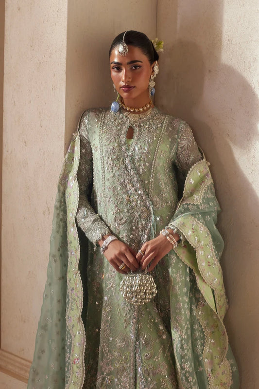 Suffuse | freeshia Ready To Wear 26 | Nirvelle