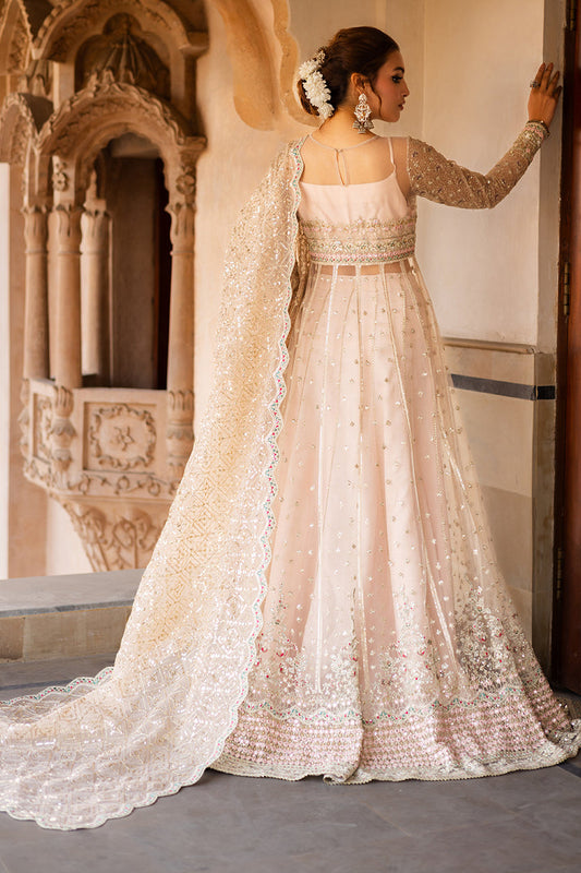 Saad Shaikh | Jahan Festive Collection | JAHAANARA - House Of Anaya