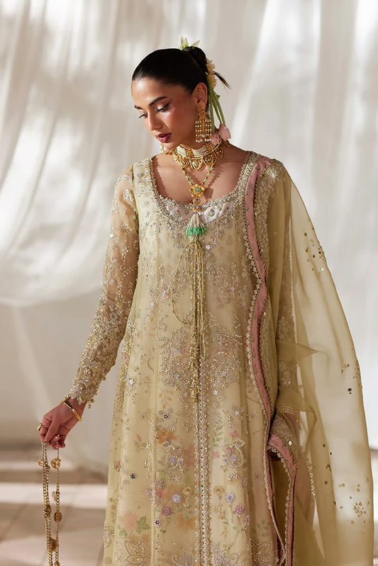 Suffuse | freeshia Ready To Wear 26 | Silvia