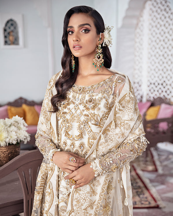 Gulaal | Wedding Formals | Shehnaz Embroidered Net 3-Piece Suit WS-11 - House Of Anaya