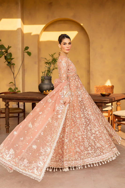 Emaan Adeel | Regalia Luxury Formals | MISTRAL