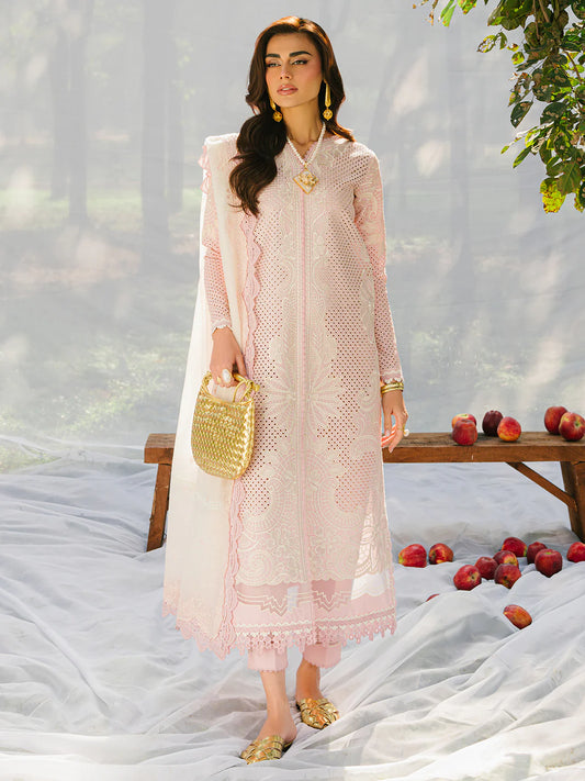 Bin ilyas | Signature Pret 25 | 234 - A | 3 PC Pret