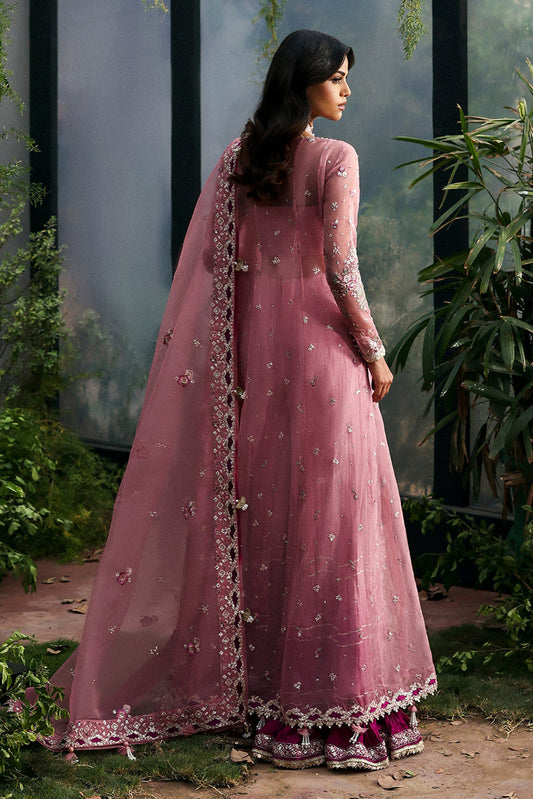 Afrozeh | La Fuschia 25 | Seraira