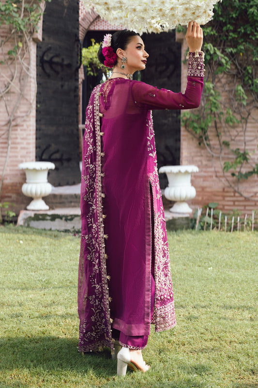 Rangrasiya | Wedding Formals 25 | Nimir