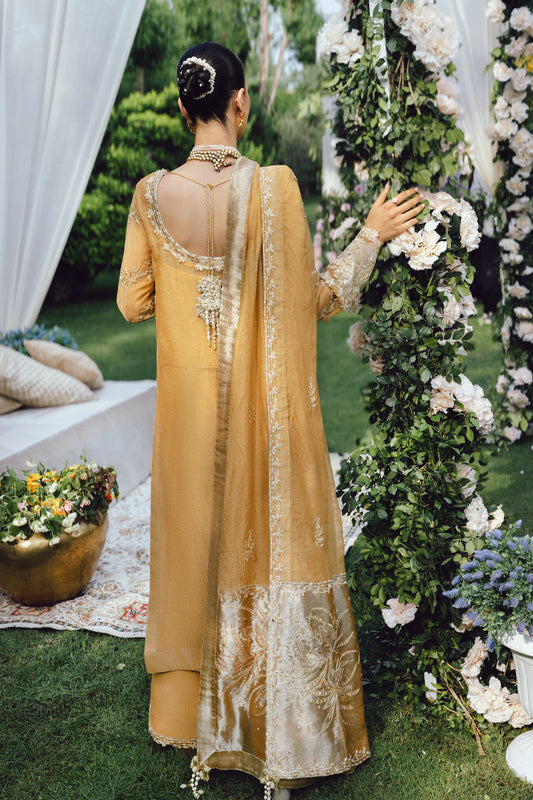 Rangrasiya | Wedding Formals 25 | Misha