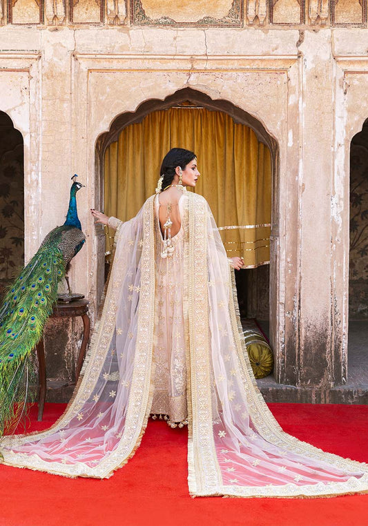 Zarqash | Arzoo Festive Collection | Naaz