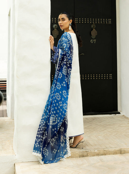 Zainab Chottani | Chikankari 25 | Reem - 8A - House Of Anaya