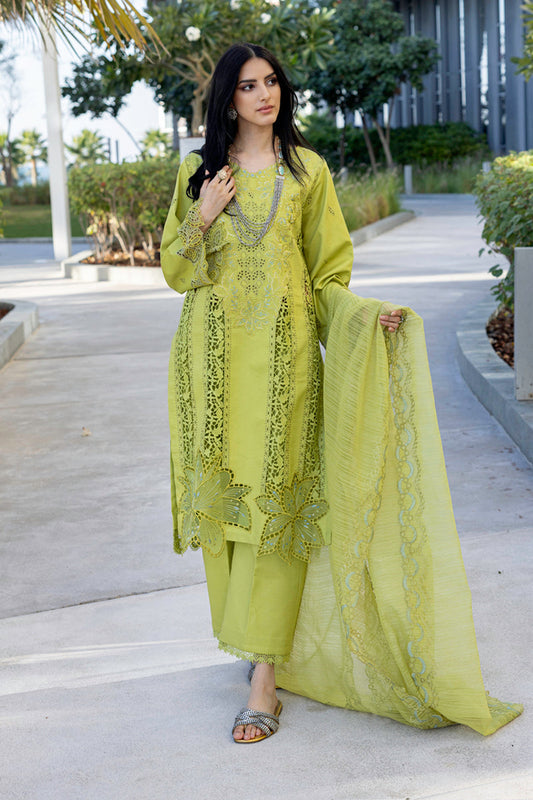 Rangrasiya | Carnation Summer Edit 25 | Aaleen - House Of Anaya