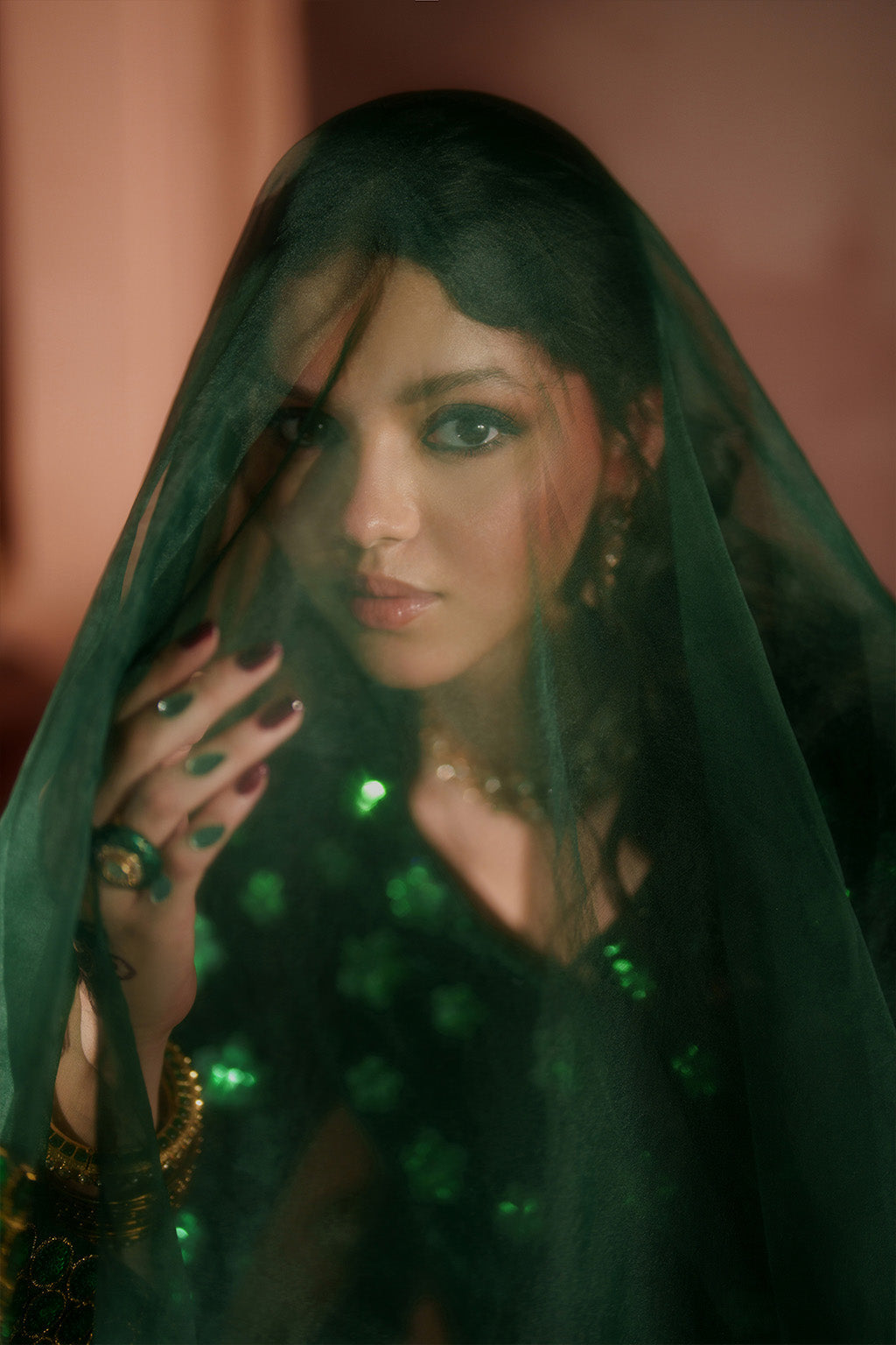 Iznik | Velvet 25 | IV-60 Embroidered Velvet