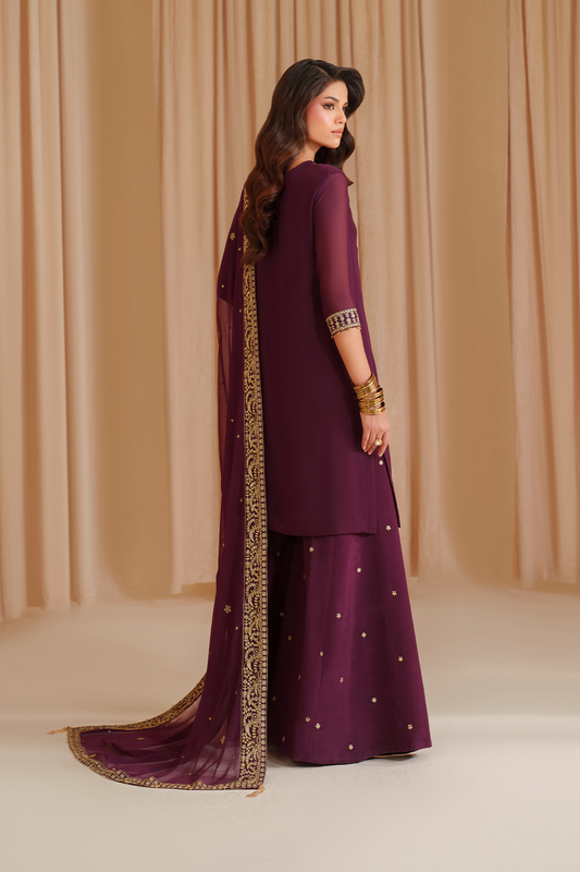 Iznik I Festive Formal I CC-76 Embroidered Chiffon