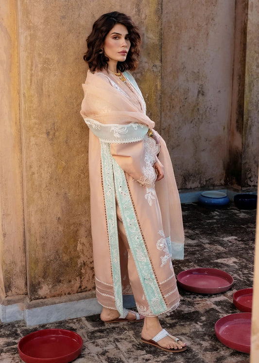Crimson | MITTI - WINTER PRET '25 | Nawabi Notes
