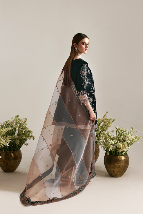 Emaan Adeel | Zarposh Velvet 25 | MEHRUUNISA