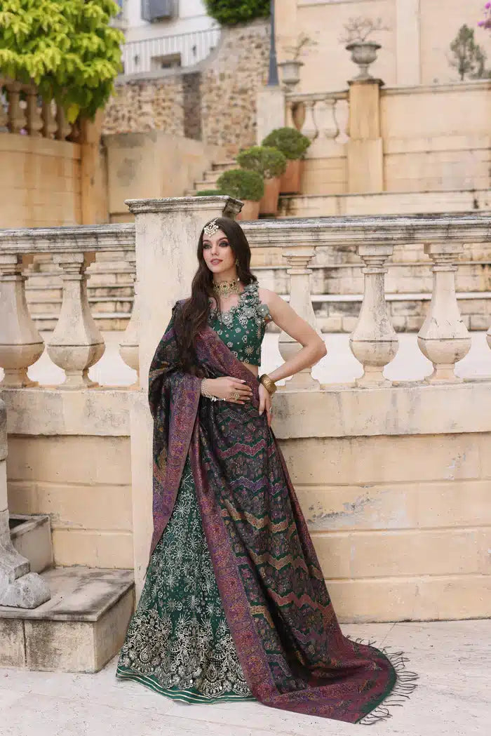 Noor by Saadia Asad | Kaani Wedding Formals 23 | D1 - House Of Anaya