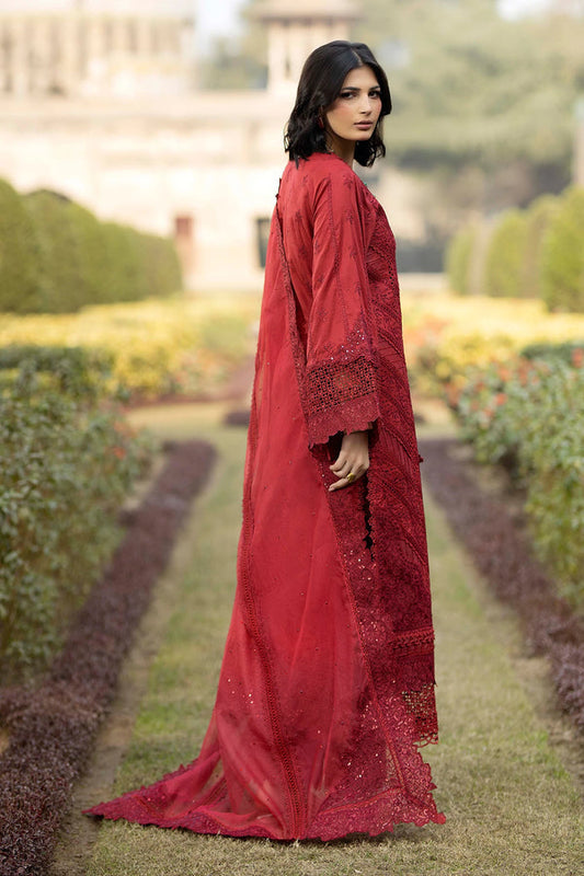 Adans Libas | Adans Tradition | TRADITION 1677