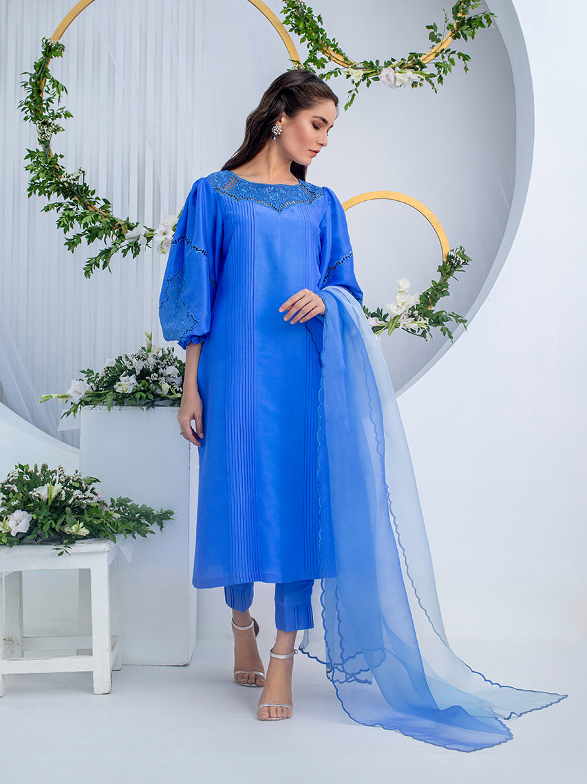 Anam Akhlaq | Festive Collection | D-02 - House Of Anaya