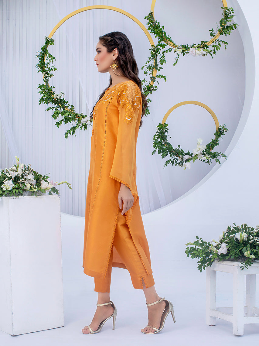 Anam Akhlaq | Festive Collection | D-03 - House Of Anaya