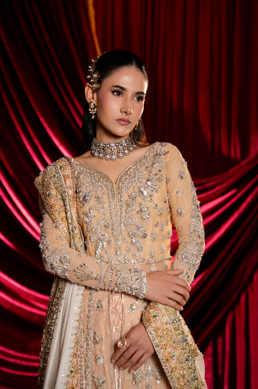 Sable V | Laal Bagh Bridal Luxury Formals | SLB-1375