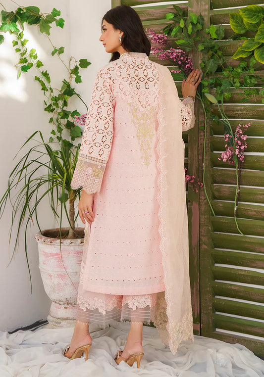 Zarqash | Belle Ame 24 | BL 008 Reine - House Of Anaya