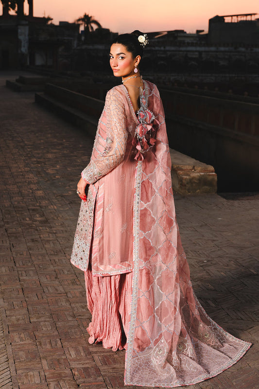 Raeesa Premium | Zauj Formals 25 | AAK - 03