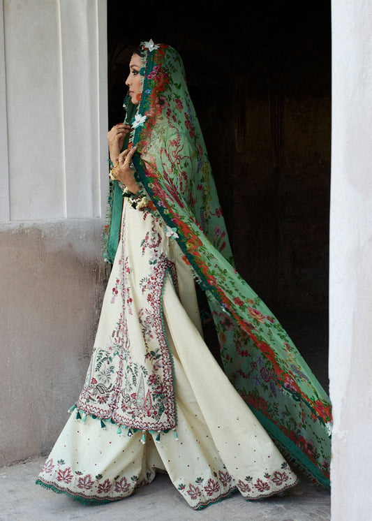 Hussain Rehar | Nirmal SS 25 | Sahil