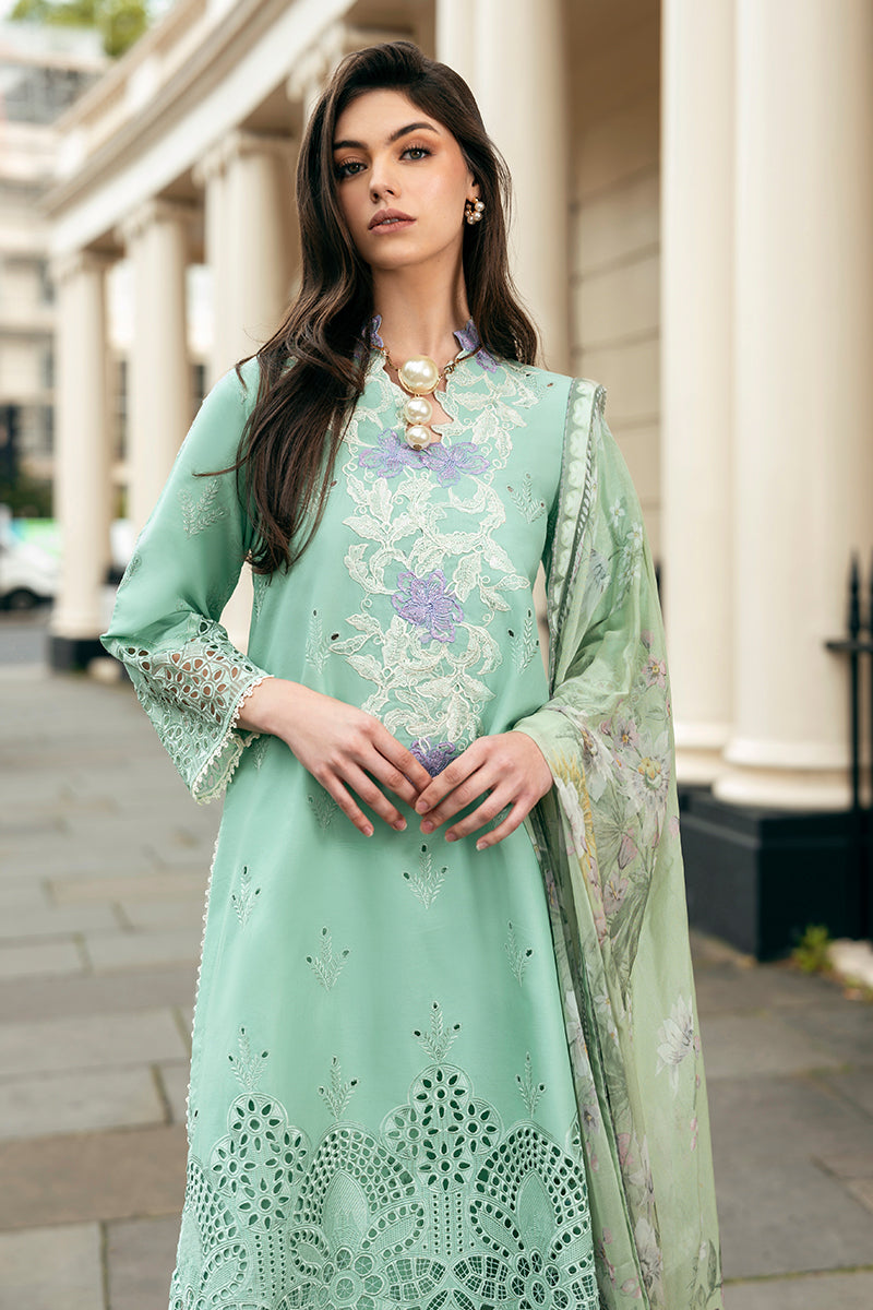 Mushq | Hemline Odyssey | BRISTOL BEAUTY