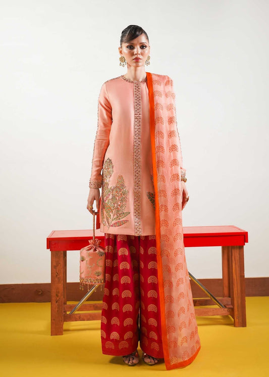Hussain Rehar | Basic Not Basic | Blush - House Of Anaya
