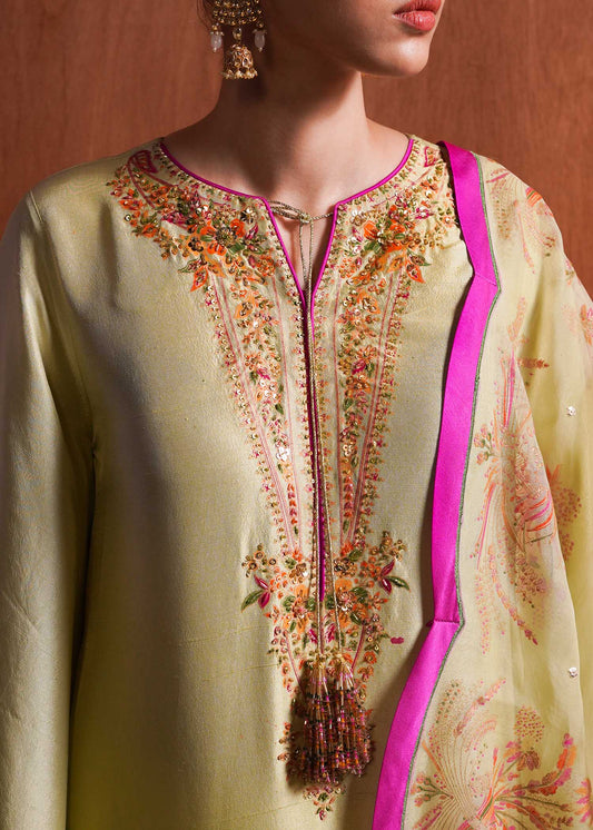 Hussain Rehar | Basic Not Basic | Meadow - House Of Anaya
