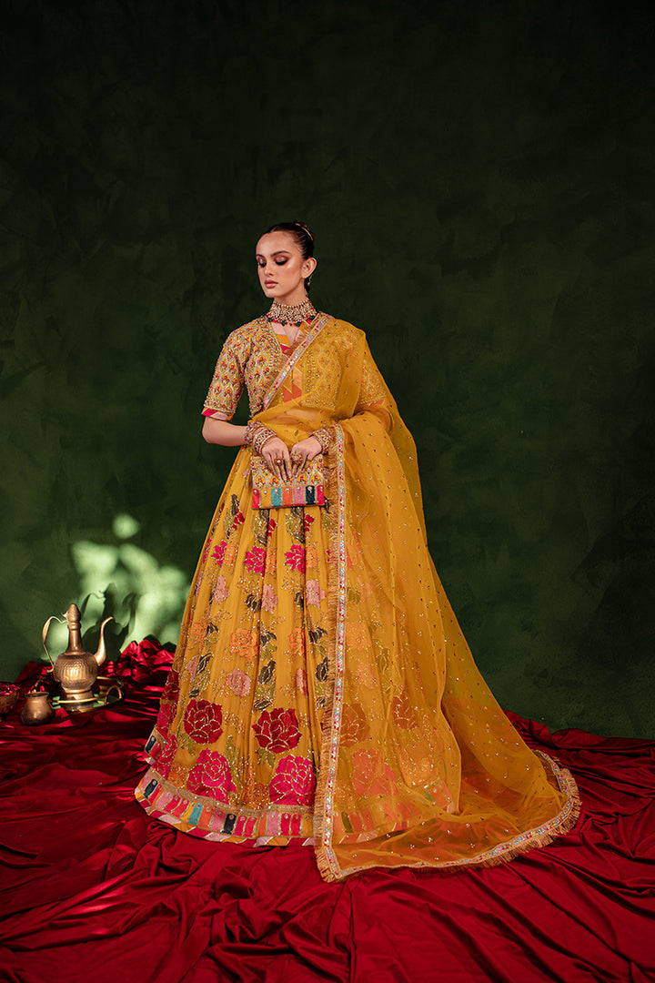 Maria Osama Khan | Salma Sitara | CHAMBELI - House Of Anaya