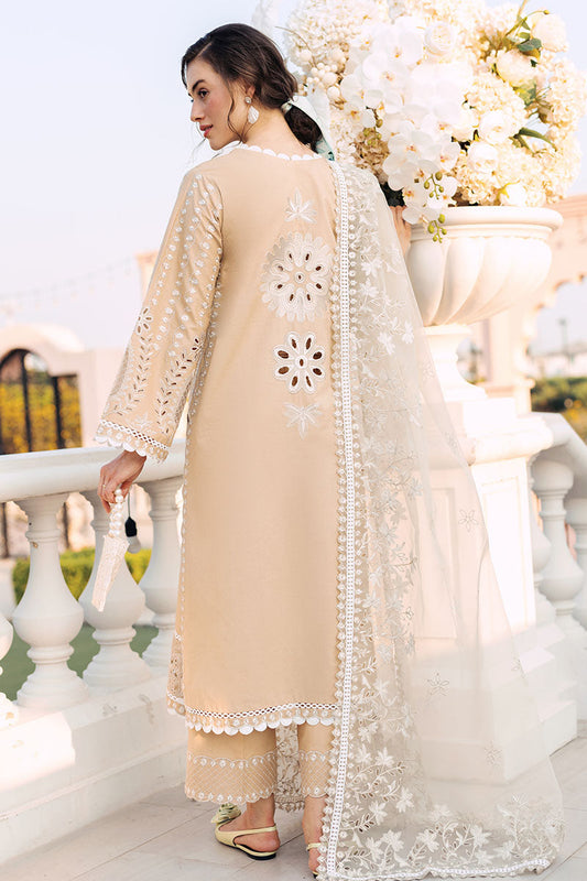 Mushq | La Toscana Casual Pret 24 |DIVINE DESERT - House Of Anaya