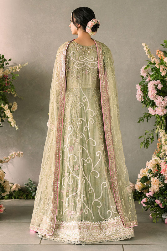 Mushq | Mastani Evening Luxury Chiffon | Namar - House Of Anaya