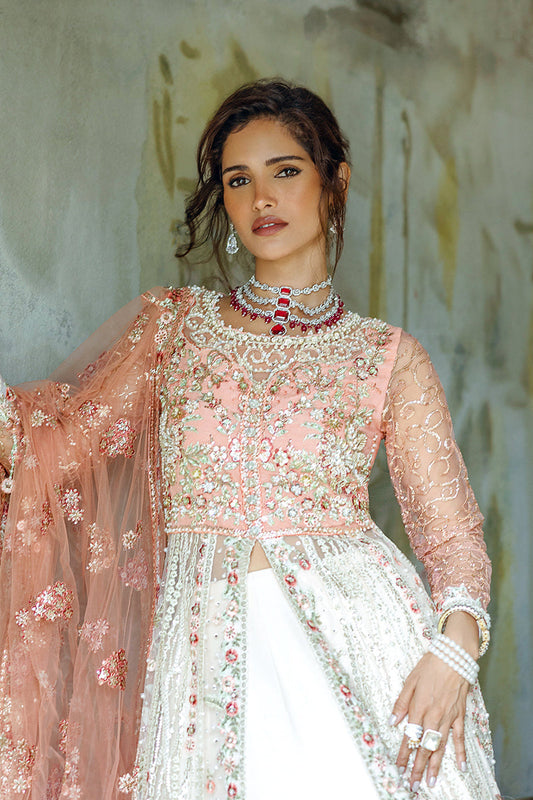 Galaxy Gown | Mushq'24