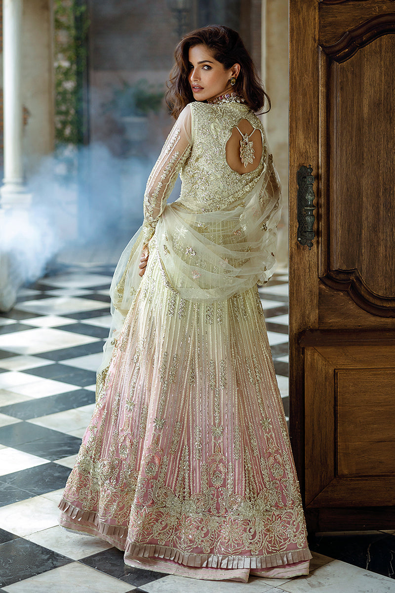 Cosmic Couture| Mushq'24