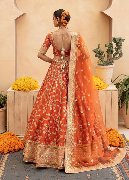 Waqas Shah | Madhubala | AABROO - House Of Anaya