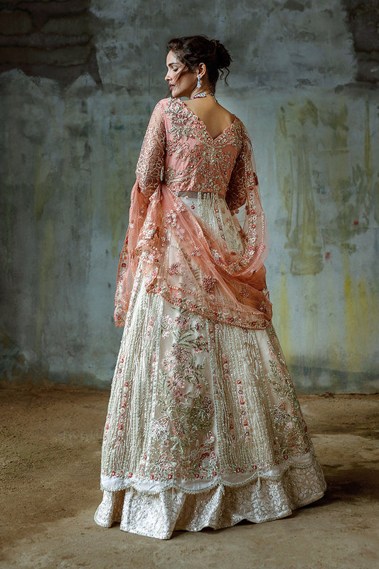 Mushq | Stardust Wedding Collection 24 | Galaxy Gown - House Of Anaya