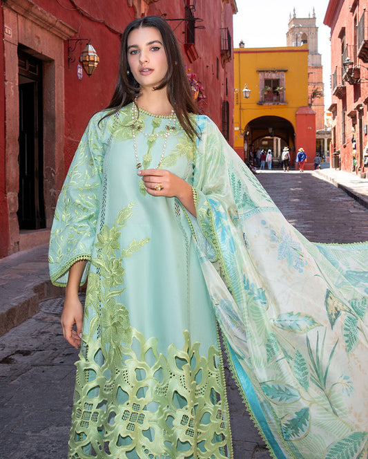Mushq | Odyssey Lawn 26 | Paloma