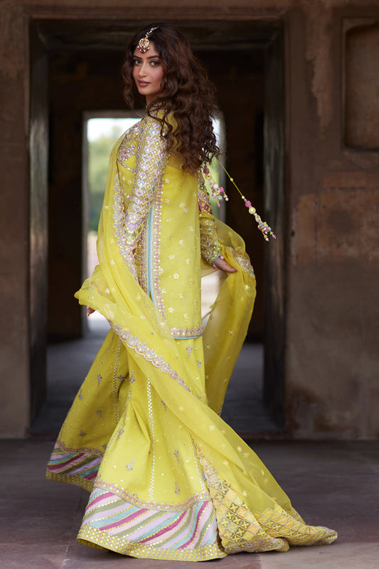 Qalamkar | Shadmani Luxury Formals | Dania SH-05 - House Of Anaya