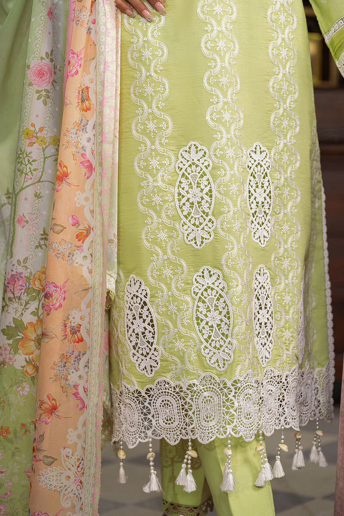 Rajbari | Chikankari Edition 24 | RJB-11 - House Of Anaya