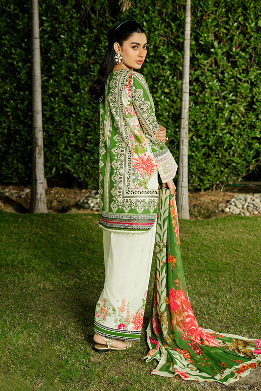 Imrozia Premium | Lawn 26 | SL-122 Olive Jardin