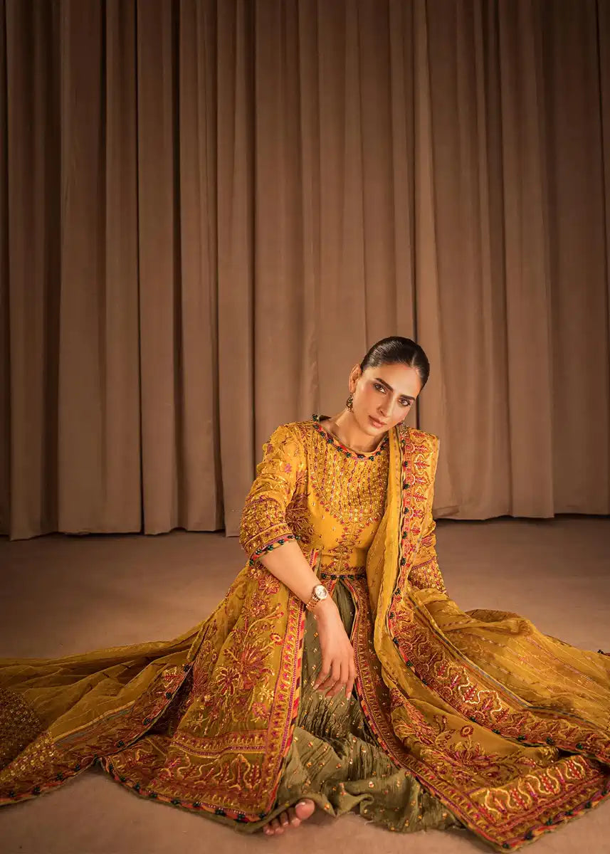 HSY | Rehana Collection 2023 | Ronak - House Of Anaya