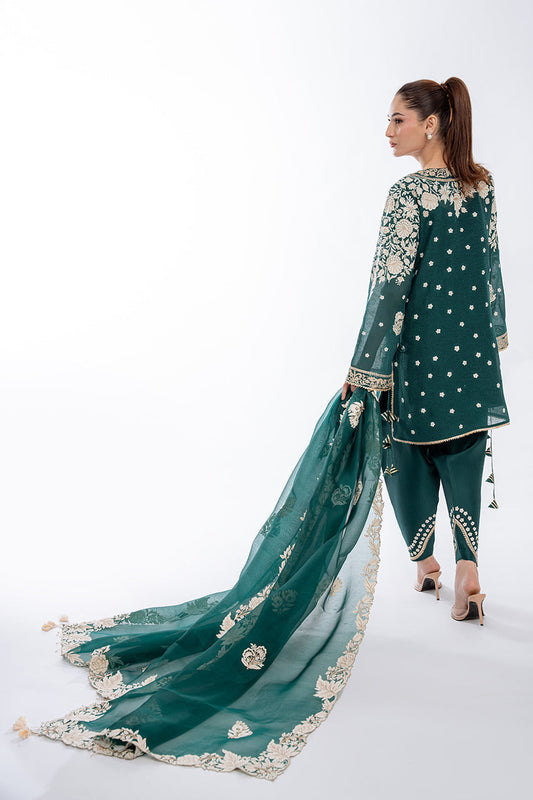 Sania Maskatiya | Eid Collection | Jinani (B) - House Of Anaya