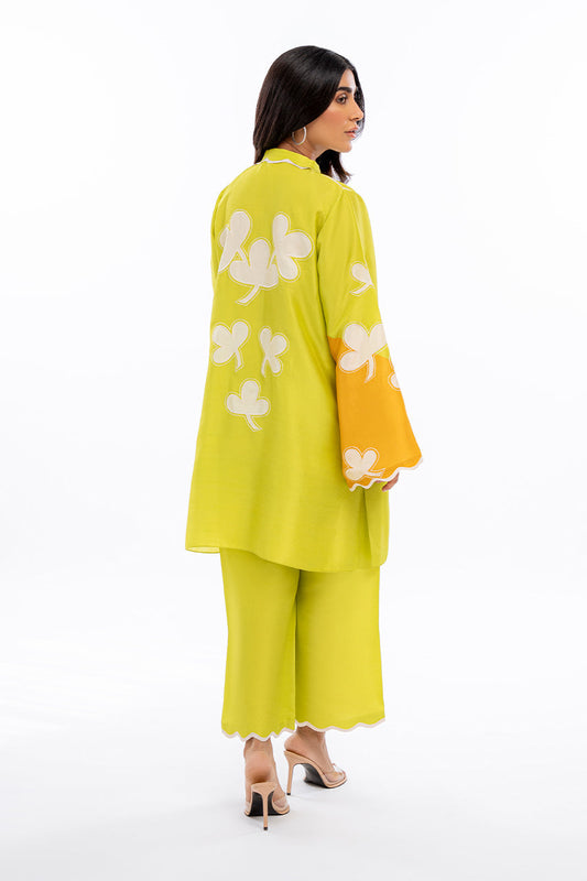 Sania Maskatiya | Eid Collection | Misbah (B) - House Of Anaya