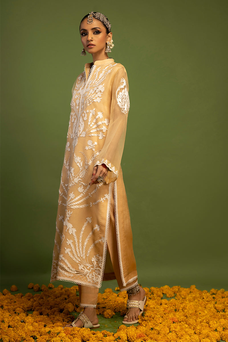 Wardha Saleem | Luxury Pret Traditional Wear | SHIKAR GAH - AARI WORK (2 PC) - House Of Anaya