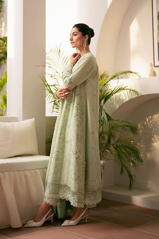 Saffron | Mystere Festive Lawn | Alari