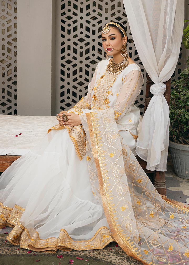 Daud Abbas | Formals Collection | Tamana - House Of Anaya