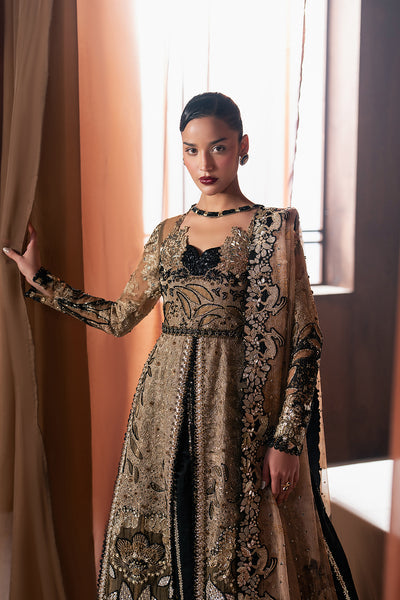 Afrozeh | Hayat Formals 25 | Rayyan