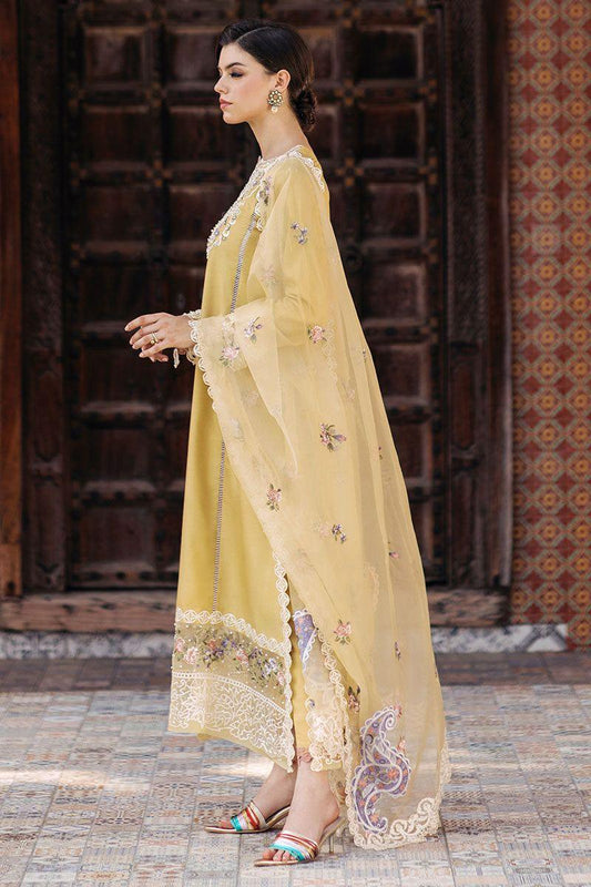 Mushq - Golden Glimmer - House Of Anaya