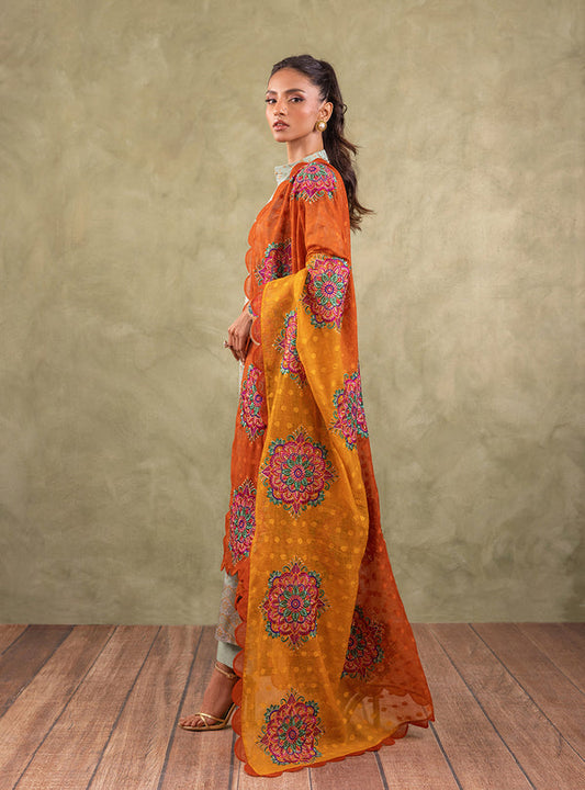 Zainab Chottani | Eid Edit | REYNA - House Of Anaya