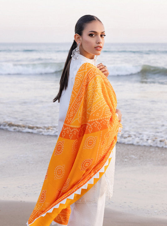 Zainab chottani | Luxury Chikankari 24 | CHUNARI - 3B - House Of Anaya