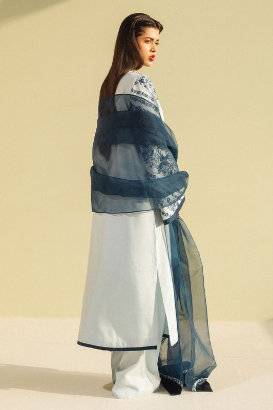 Zara Shahjahan | Festive Wear 25 | ZR25F0105 - House Of Anaya